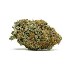 Trainwreck is a mind-bending, potent sativa with effects that hit like a freight train. Mexican and Thai sativas were bred with Afghani indicas to produce.