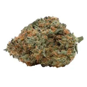 Medellin is a hybrid weed strain made from a genetic cross between Wedding Cake and Chemdawg. Medellin is 25% THC, making this strain an ideal choice for ..