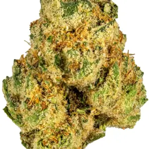 Animal Face, also known as "Animal Face #10," is a rare sativa-dominant hybrid marijuana strain made by crossing Face Off OG and Animal Mints.