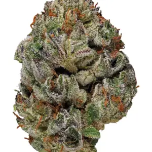 Birthday Cake Kush is an indica dominant hybrid strain that is created through a cross of the insanely delicious Girl Scout Cookies X Cherry Pie strains.