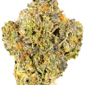Bubba Fett is a hybrid marijuana strain made by crossing Stardawg and Pre-98 Bubba Kush. This strain has an aroma that is pungent, skunky and dank with a ..