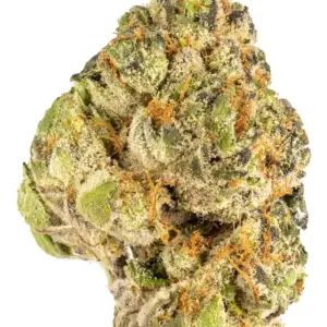 G Purps is another name for the indica marijuana strain Granddaddy Purple. Despite having different names, G Purps provides the same effects, flavors, ...
