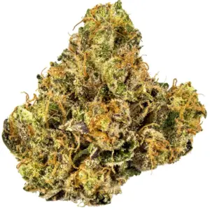 Gelato Cake is a potent indica-dominant marijuana strain made by crossing the creamy berry of Gelato #33 and the vanilla frosting of Wedding Cake.