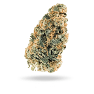 OG Deluxe is a hybrid weed strain made from a genetic cross between OGKB and Triangle Kush. This strain is a powerful and flavorful strain that will make ..