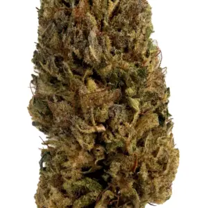 Skywalker OG is an Indica-dominant hybrid cannabis strain with a potent THC content ranging from 20% to 30%. It is a cross between Mazar and Blueberry OG ..