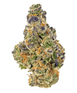 French King is a hybrid marijuana strain. We're still learning about the flavors and effects of French King - if you've smoked, dabbed, or consumed this ...