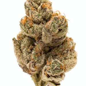 Do Si Dos is an indica dominant hybrid (70% indica/30% sativa) strain created through crossing the potent Girl Scout Cookies with Face Off OG.
