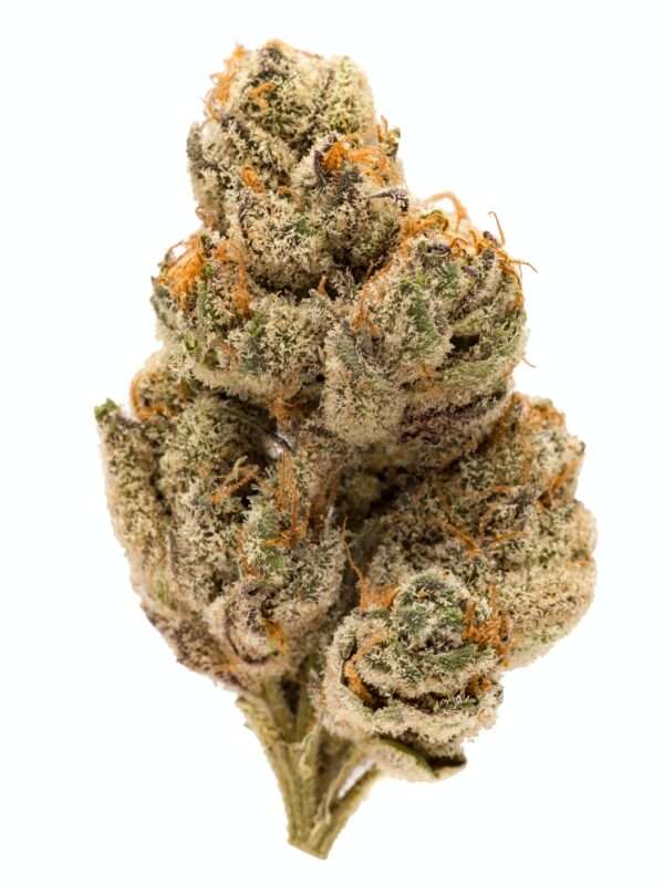 Do Si Dos is an indica dominant hybrid (70% indica/30% sativa) strain created through crossing the potent Girl Scout Cookies with Face Off OG.