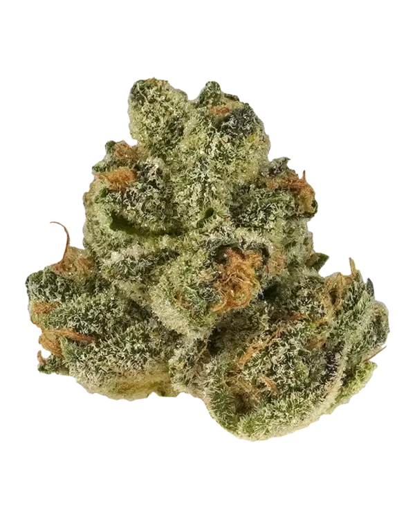 garlic mints strain is an indica dominant hybrid strain created through crossing the potent GMO X Animal Mints strains. Named for its ...
