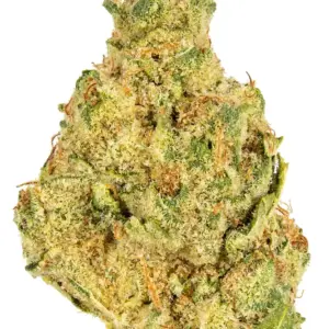 Larry Lovestein strain is a sativa-dominant hybrid weed strain made from a genetic cross between Larry OG and Chemdawg #4. Larry Lovestein is 30% THC, ...