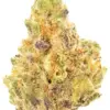 red dragon strain is a hybrid marijuana strain made by crossing South American with Afghani. Red Dragon produces happy and uplifting effects with a sweet...