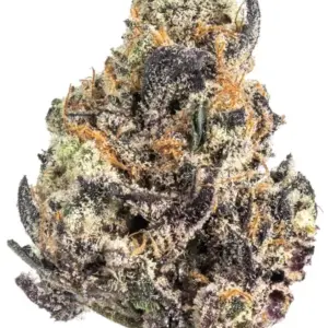Grape Cake strain is an indica dominant hybrid strain created through crossing the infamous Grape Stomper X Cherry Pie X Wedding Cake strains.