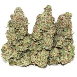 Dirty Bird strain is a slightly indica dominant hybrid strain (60% indica/40% sativa) created through crossing the potent Falcon 9 X Scotty 2 Hotty strains.