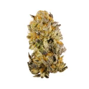 buy Platinum Cookies strain, also known as “Platinum GSC” or “Platinum Girl Scout Cookies,” is an evenly balanced hybrid (50% indica/50% sativa)