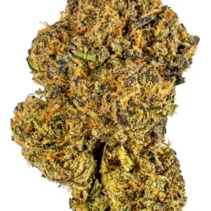 buy Rocky Road strain is a hybrid weed strain. Reviewers on Leafly say this strain makes them feel tingly, relaxed, and focused. has 19% thc